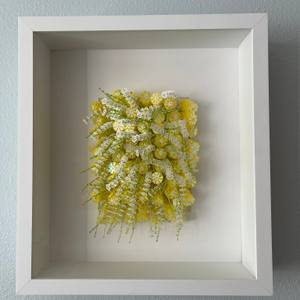 Yellow Dahlias
