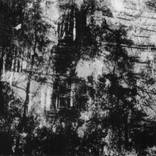 Kuroi Jukai (Black Sea of Trees) - Limited Edition 1 of 25 by Justice Hyde