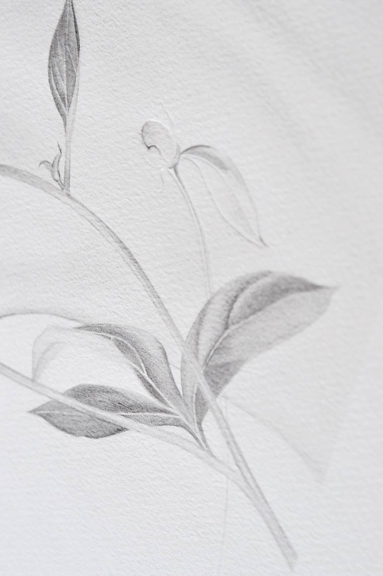 Original Figurative Women Drawing by Elodie Vaugeois