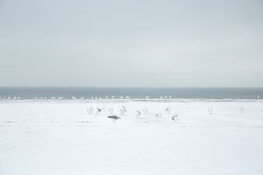 Original Conceptual Landscape Photography by Yoko Naito