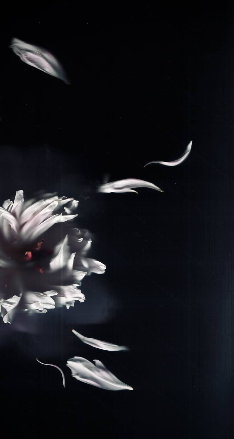 Print of Contemporary Botanic Photography by Artem Bilozyorov