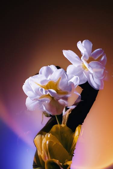 Original Conceptual Floral Photography by Zhanna Semenova