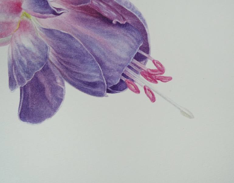 Original Illustration Botanic Painting by Caterina Francu