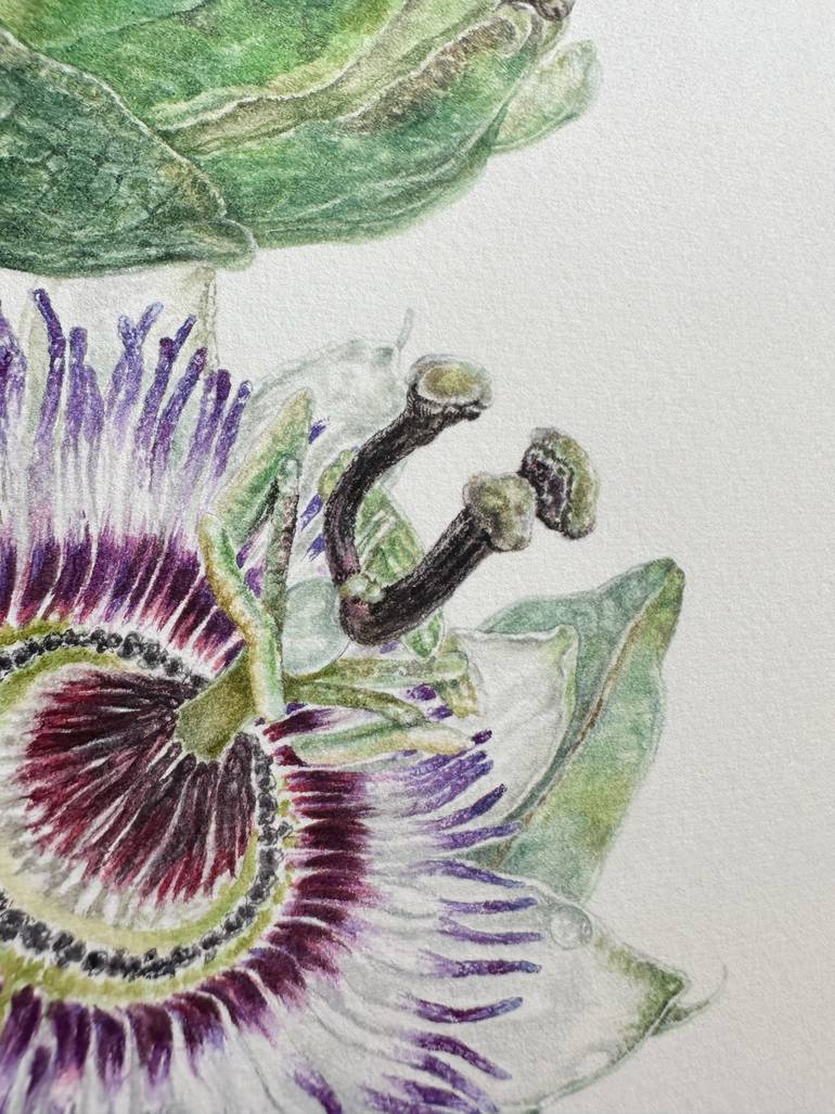Original Illustration Floral Painting by Caterina Francu
