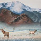 Colorado Winter by Leslie De Leon