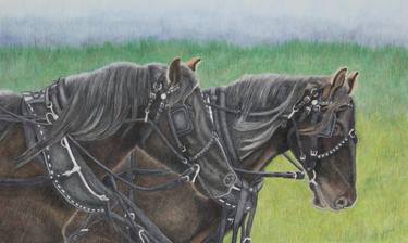 Original Realism Animal Drawing by Jamie Holland