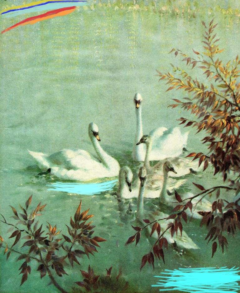 Swans, 2014 by stuART ridley Drawing by Stuart Ridley | Saatchi Art