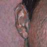 Close-up3