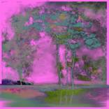 Bright Days by Sherri Scott