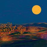 Moonlight Views by Sherri Scott