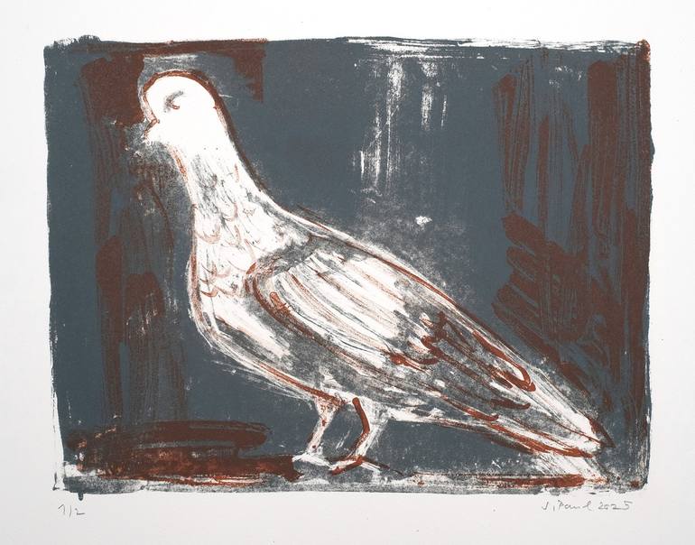 Original Animal Printmaking by Sebastian Paul  Contemporary Art on Paper  Dove  original lithographie