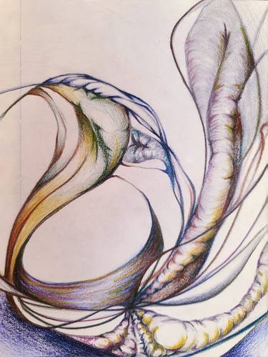 Original Abstract Nature Drawings by Crystal Leavitt