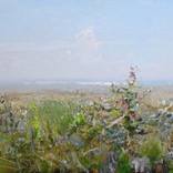 Collection DENIS GORODNICHIY