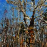 Collection DENIS GORODNICHIY
