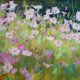 Collection OLEKSIY DMITRIEV