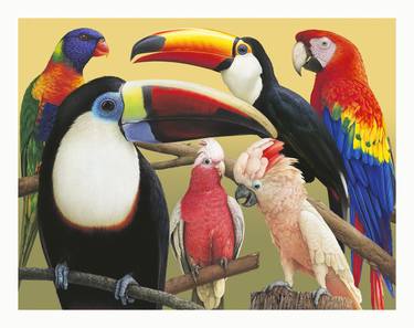 Original Illustration Animal Paintings by Kenneth Zaruba