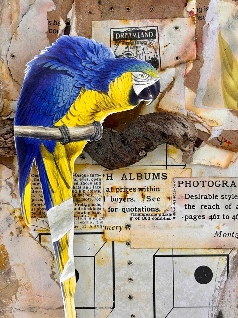 Original Abstract Animal Mixed Media by Ottavia Mchenry