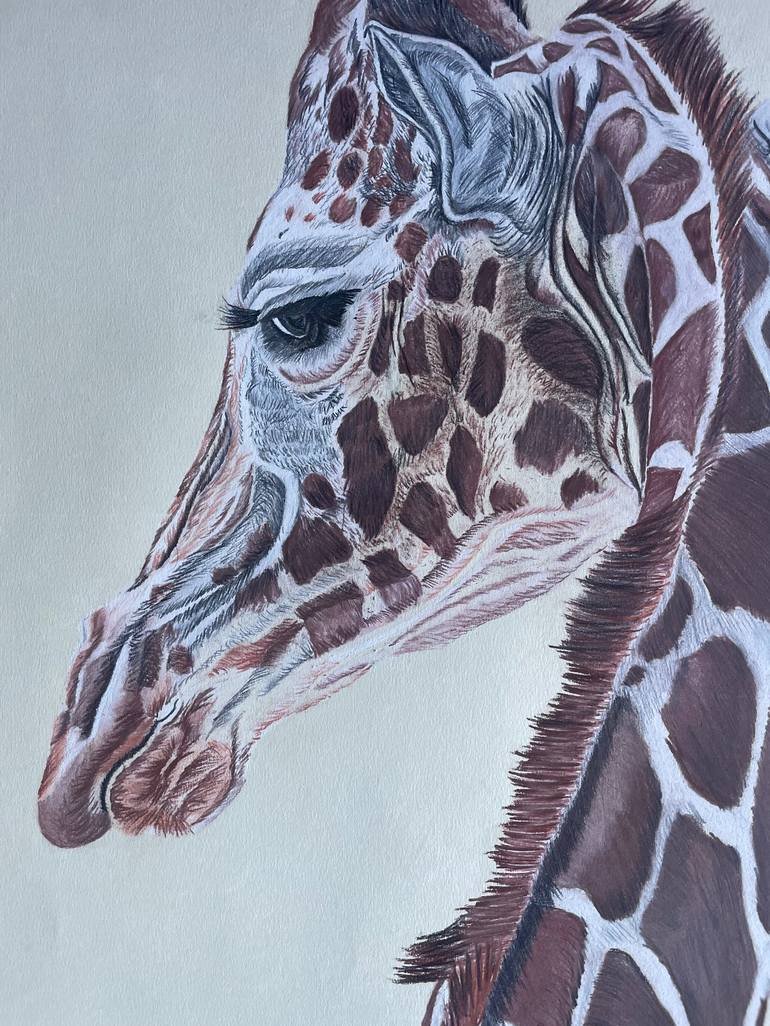 Original Photorealism Animal Drawing by Rémi Capobianco