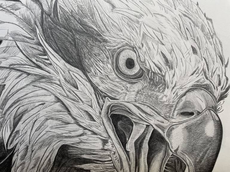 Original Photorealism Animal Drawing by Rémi Capobianco