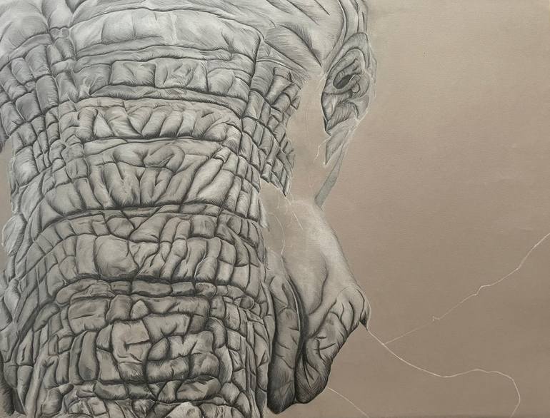 Original Photorealism Animal Drawing by Rémi Capobianco