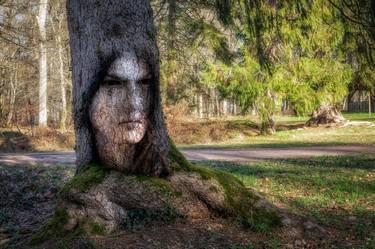 The watcher of the forest thumb