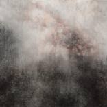 Mists of Contemplation by J Jie Li