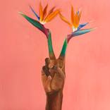 Collection Visualizing Peace: The Other Art Fair Los Angeles September 2025