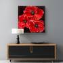 Mature beauty (Red poppies)