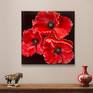 Mature beauty (Red poppies)