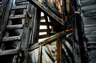 Print of Abstract Expressionism Rural life Photography by Lauren Leigh Hunter