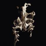 Abyssal Desires - Limited Edition of 1 by David Mayo