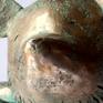 Bronze Bear Face