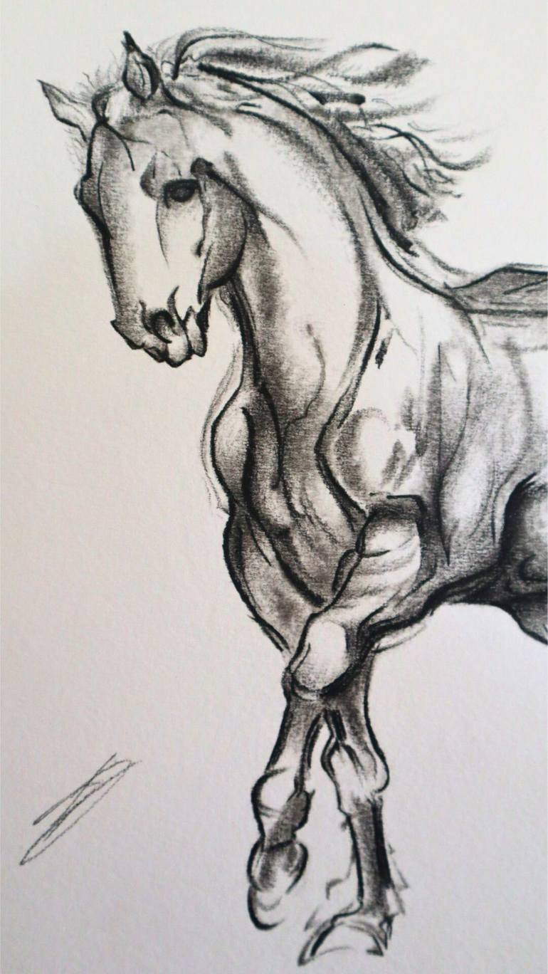 Original Black & White Horse Drawing by Antonio D'Elia