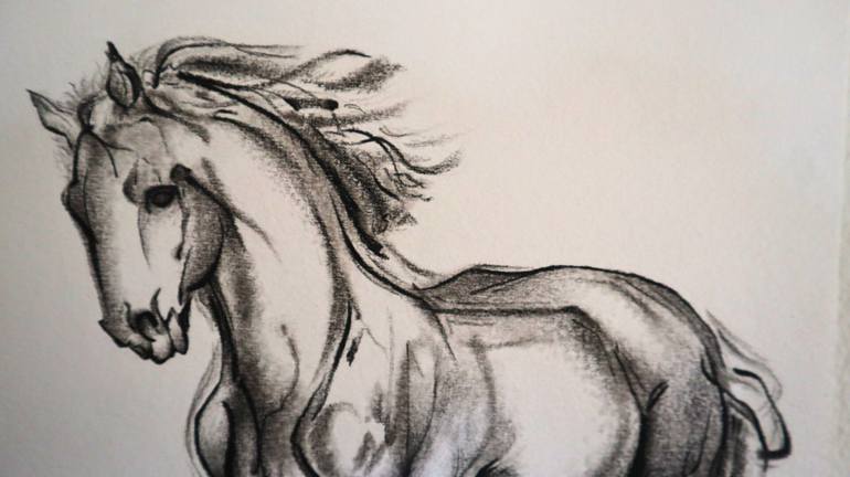 Original Black & White Horse Drawing by Antonio D'Elia