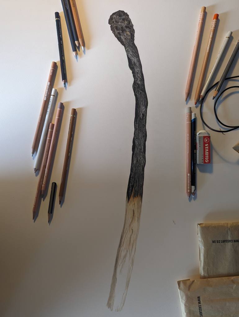 Original Photorealism Still Life Drawing by Rebecca Meneghini