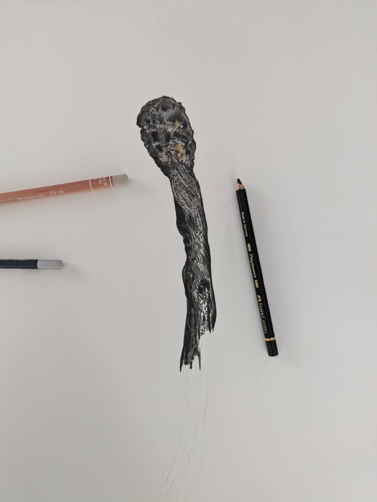 Original Photorealism Still Life Drawing by Rebecca Meneghini