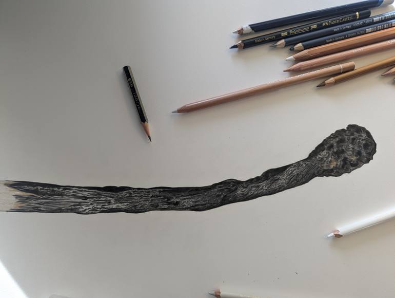 Original Photorealism Still Life Drawing by Rebecca Meneghini