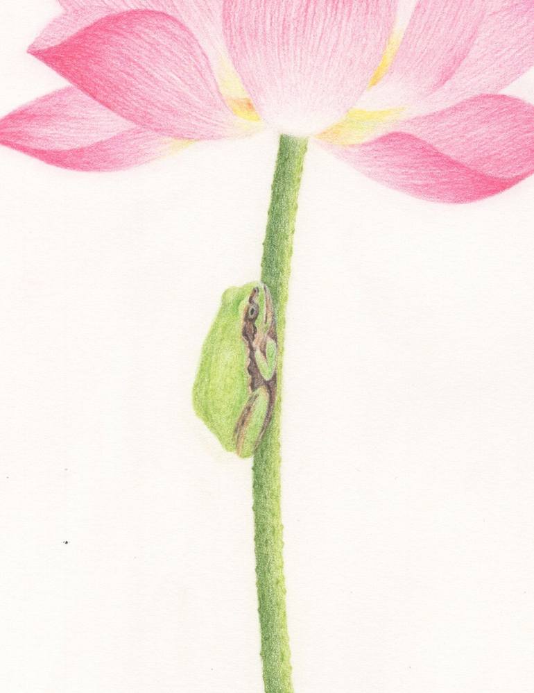 Original Realism Botanic Drawing by Sanae Hayashi