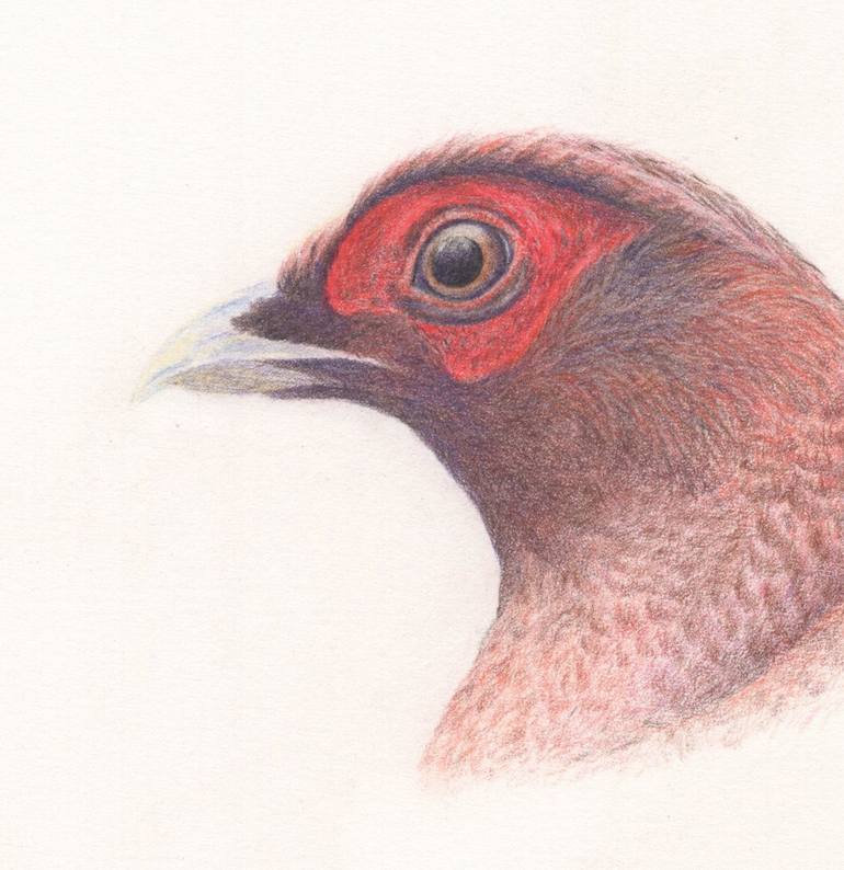 Original Realism Animal Drawing by Sanae Hayashi