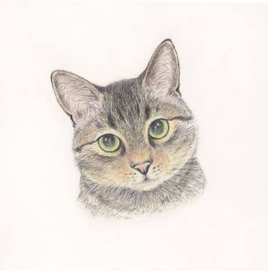 Original Realism Animal Drawings by Sanae Hayashi