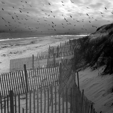 Print of Modern Beach Photography by Stu Sporn