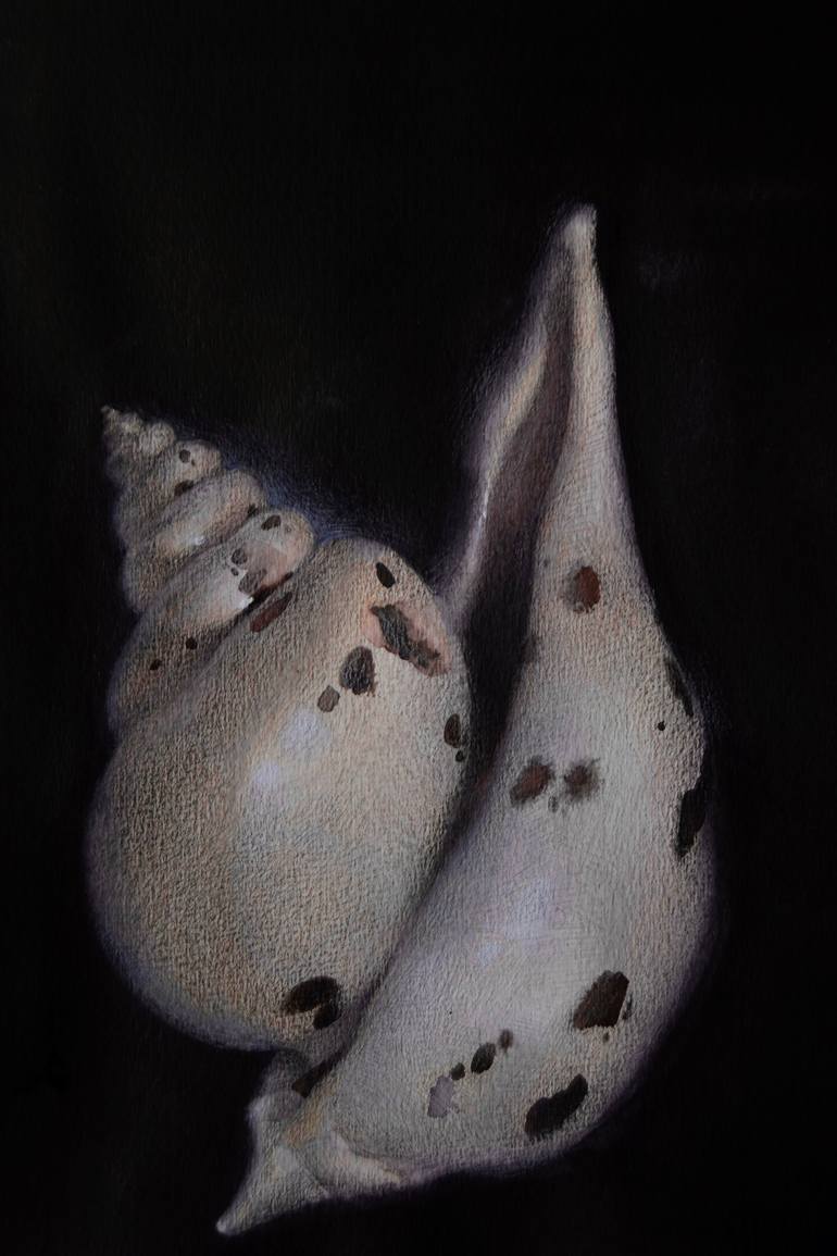 14/20 - Levitating Seashell Surrealism Painting by Yuliia Holub ...