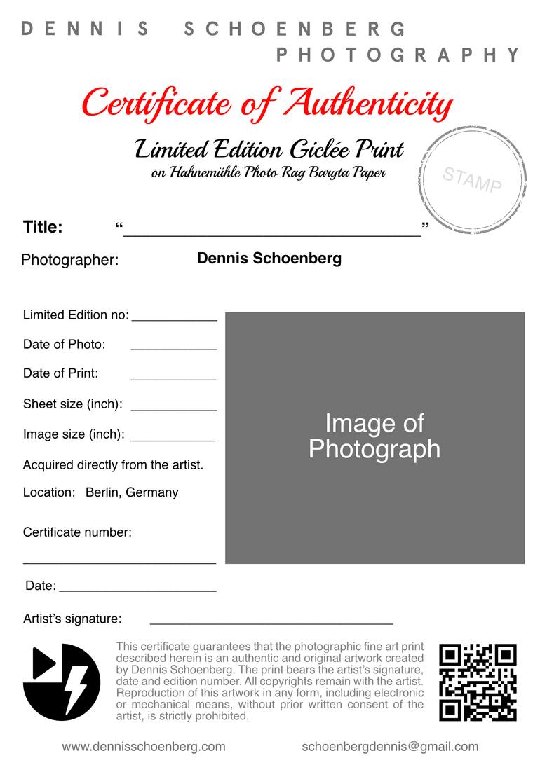 Original Modernism Women Photography by Dennis Schoenberg