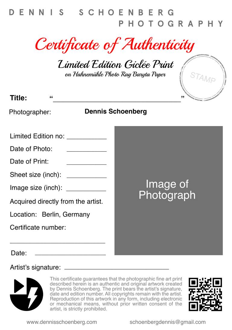 Original Abstract Erotic Photography by Dennis Schoenberg