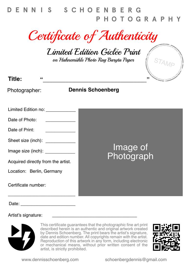 Original Modernism Nude Photography by Dennis Schoenberg