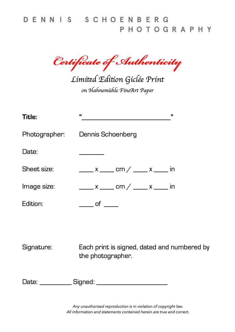 Original Contemporary Erotic Photography by Dennis Schoenberg