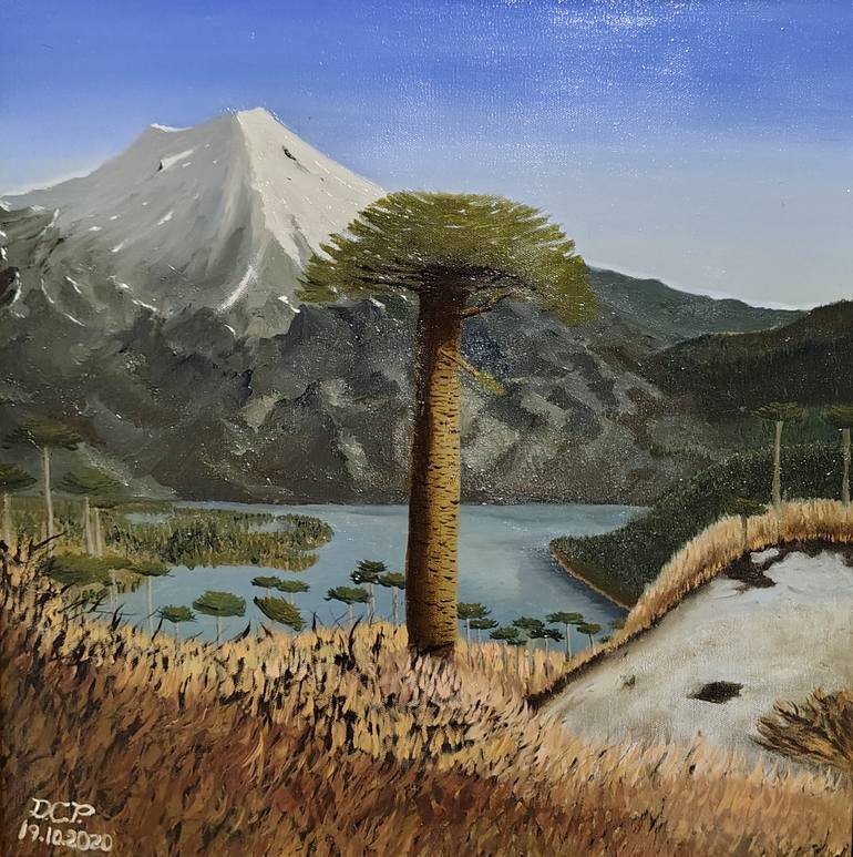 Original Landscape Painting by Diego Calderon  Realism Art on Canvas  Campo de araucarias