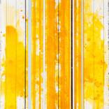 Collection Alexandra Champalimaud (Designer)