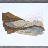 Mountain Study 4 by Elizabeth Robinson