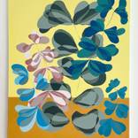 The Reason for Flowers by Barbara Owen